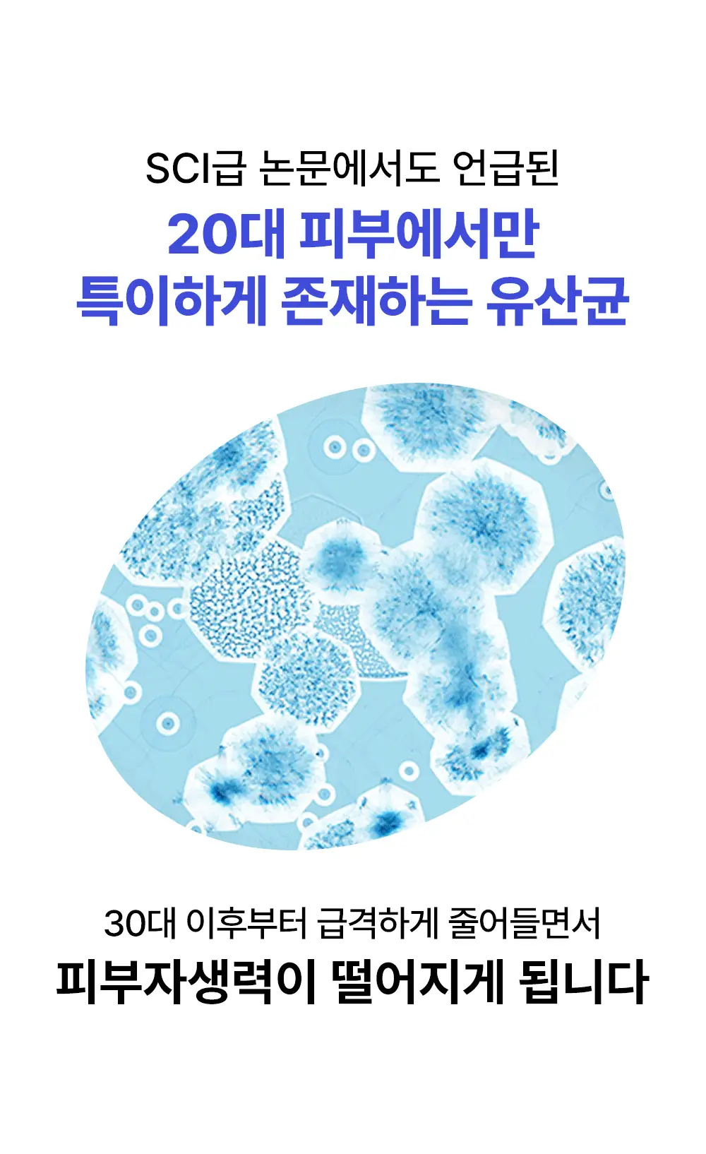 [스무살 앰플] 아이디플라코스메틱 엑소브이 플러스 앰플 30ml 상세페이지 11